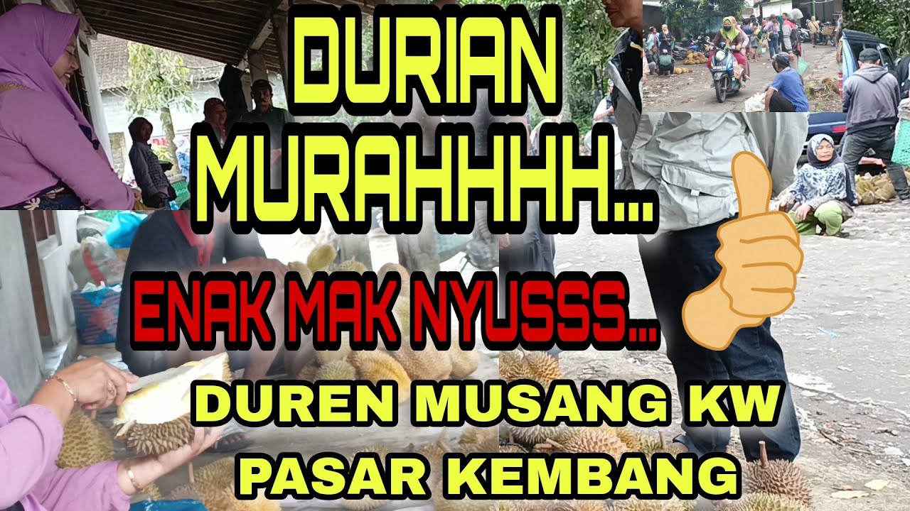 DURIAN MUSAKING KW PASAR KEMBANG ( SARKEM KLATEN )