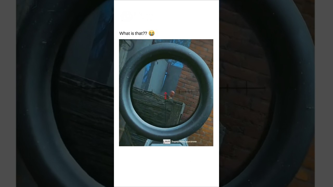 There are no bugs in STALKER 2, only anomalies ☢️🤣💨
