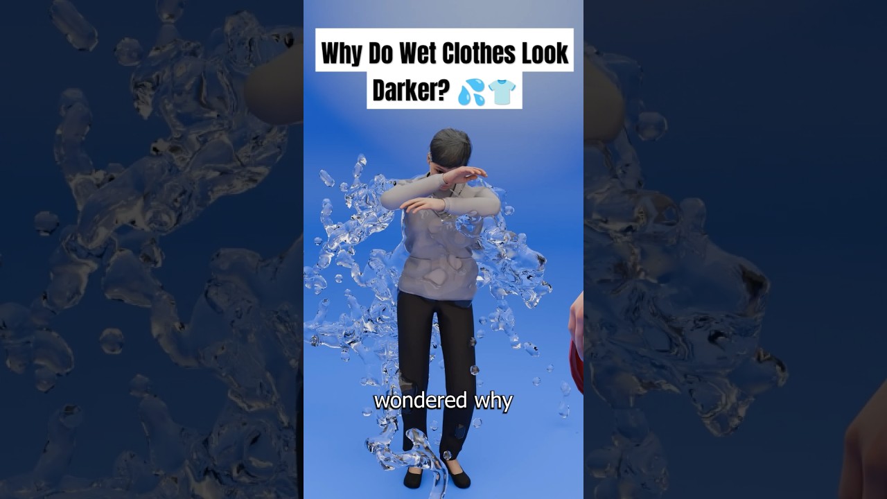 Why Do Wet Clothes Look Darker? 💦👕