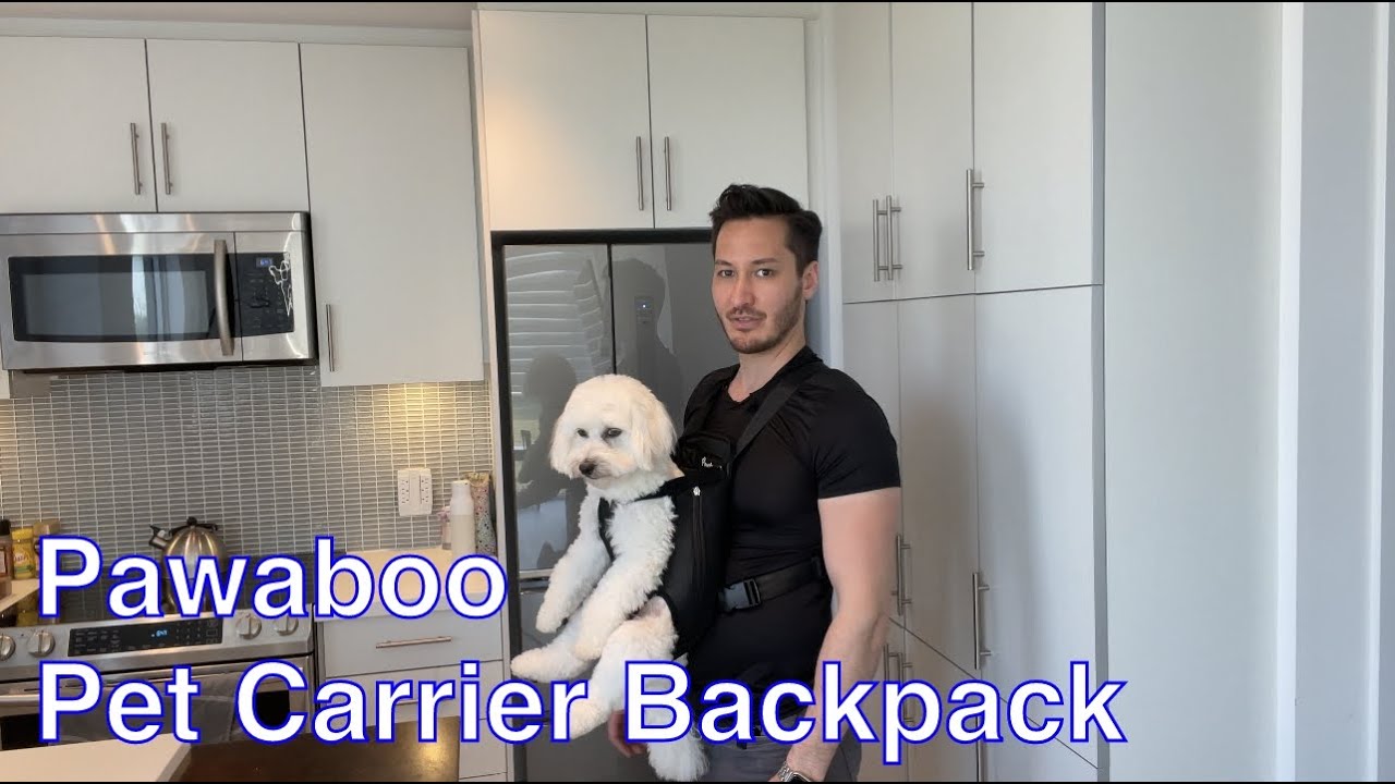 Product Review: Pawaboo Pet Carrier for Dogs and Puppies
