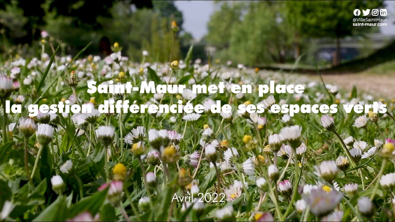 Gestion différenciée des espaces verts