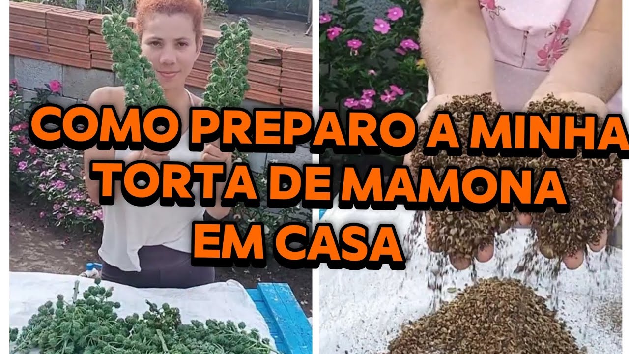 NESSE VÍDEO MOSTRO COMO PREPARO A MINHA TORTA DE MAMONA.