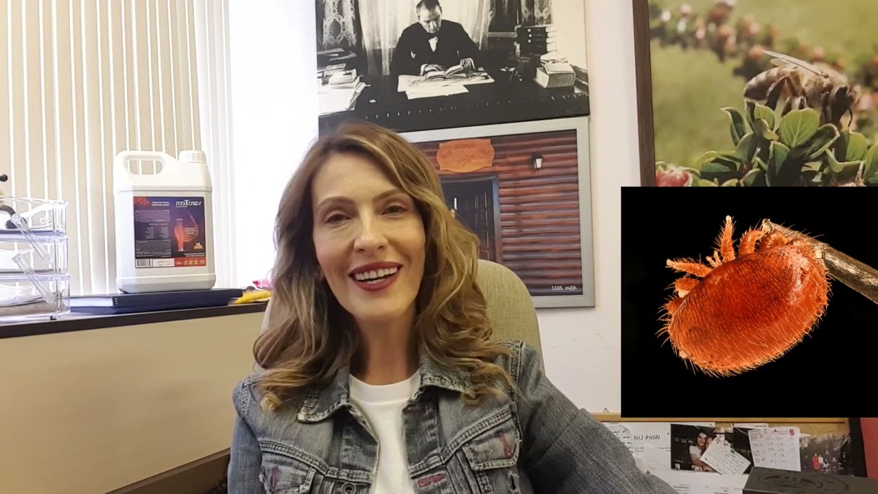 Varroa Mücadelesi ve VaroTem'e ne olacak?