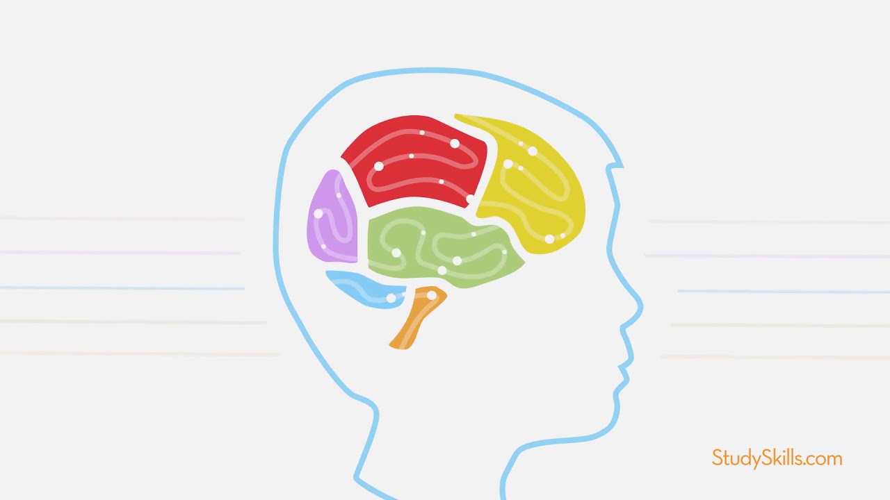 The Brain Circuit: How the Brain Works for You