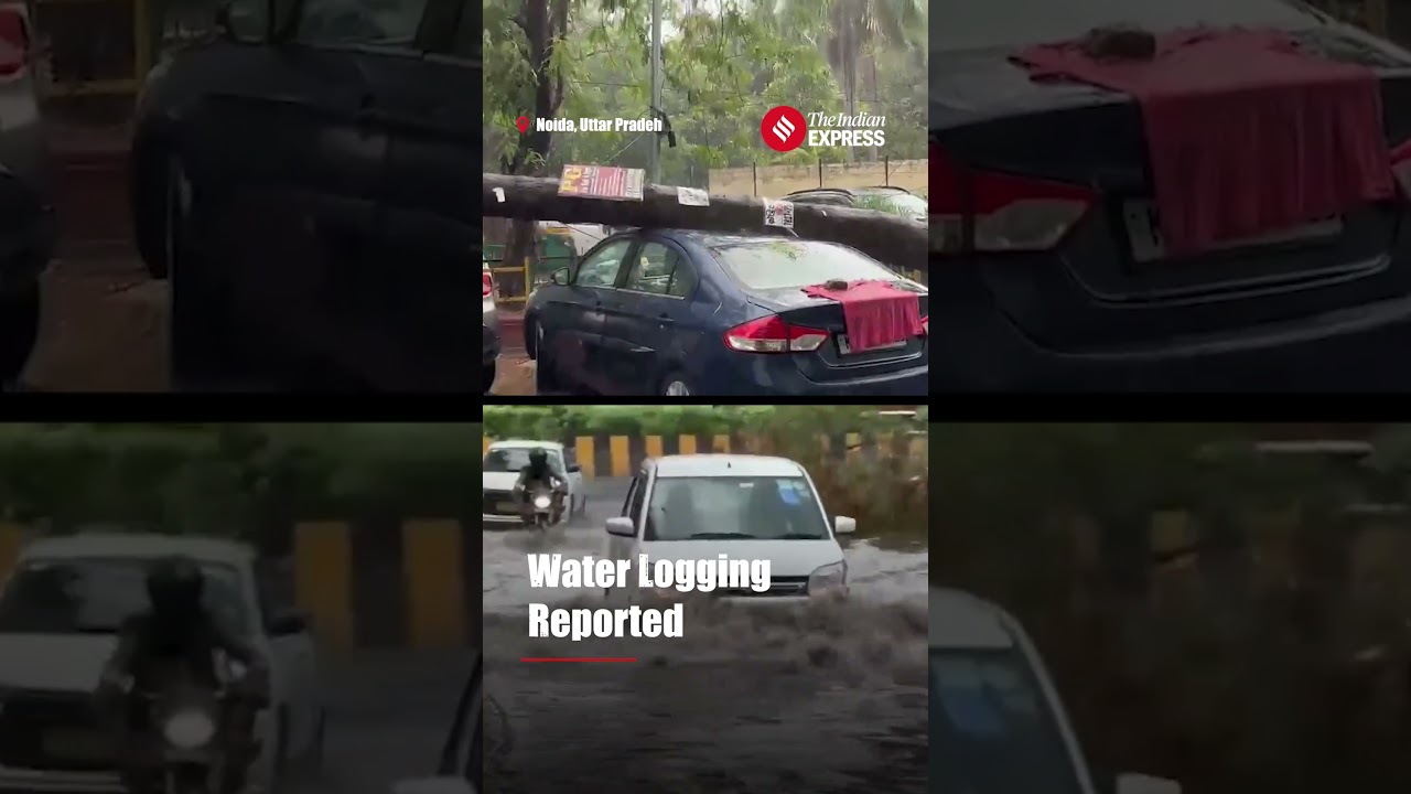 Heavy Rain Aftermath: Many Areas In Delhi NCR Waterlogged After Heavy Rain Lashes The City