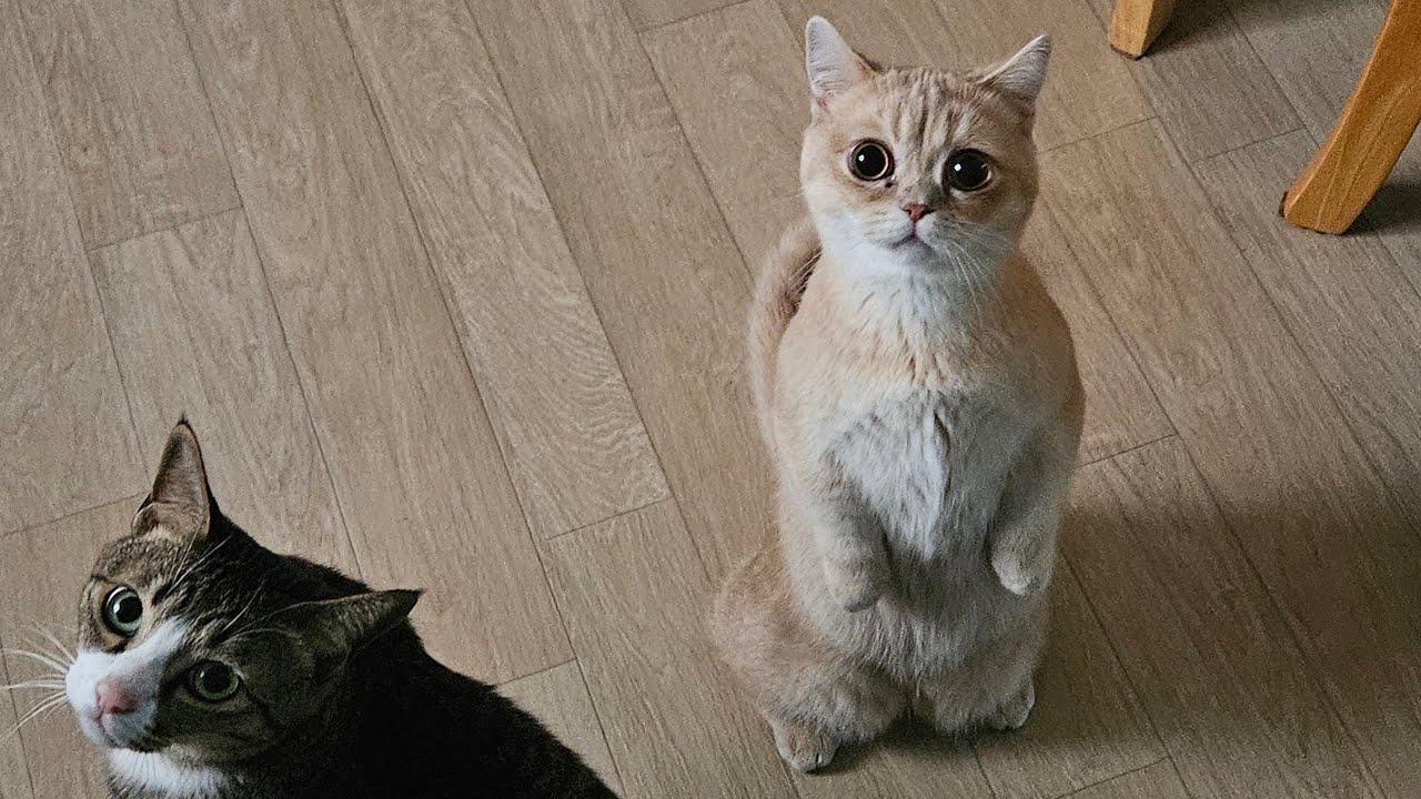 2026 겨울학기 IVY2 Unit 11