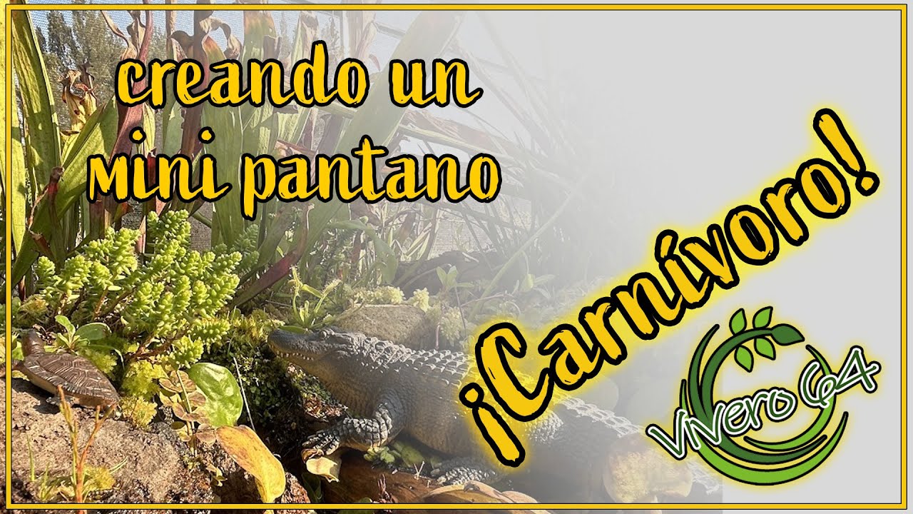 ¡Creando un mini pantano carnívoro! (instrumental)