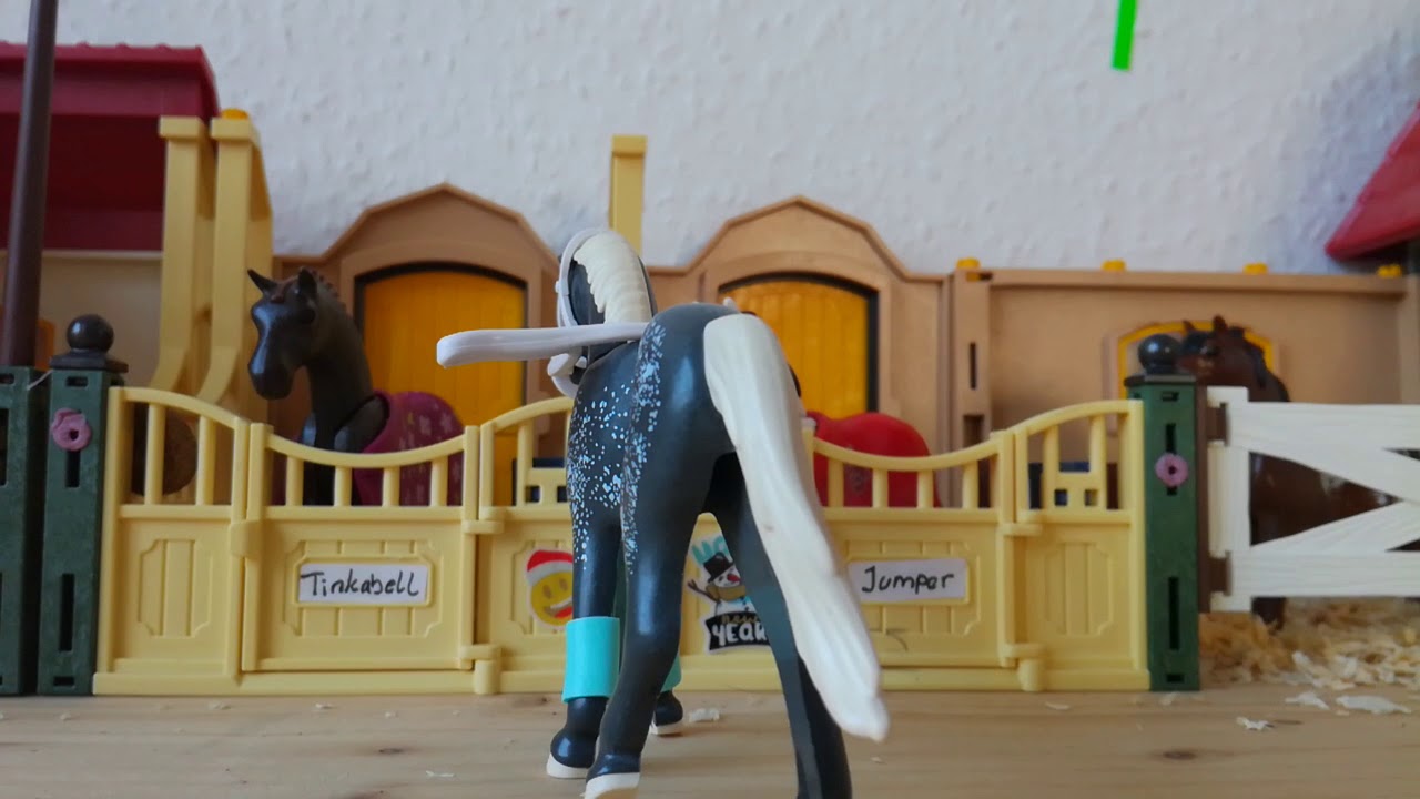 Playmobil Kurzfilm Deutsch - Was machen deine Playmobil Pferde wenn sie alleine Zuhause sind (5)
