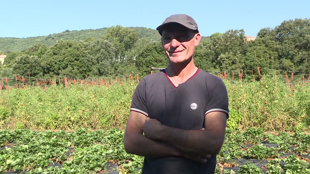 Per sti lochi in la Valle di u Prunelli, épisode 5 : Bastelicaccia