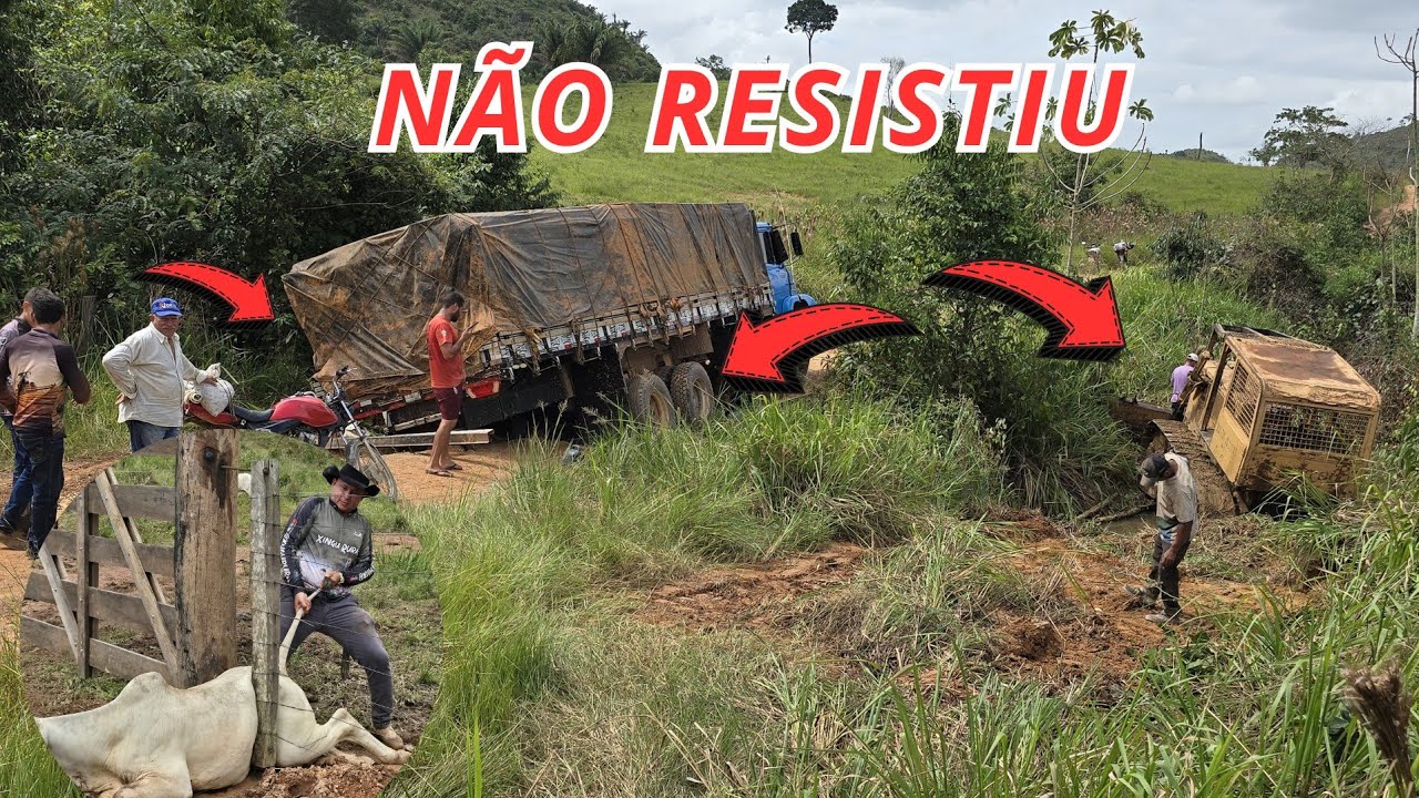 Ninguém passa nem pra frente nem pra trás! Bezerro quase morre enganchado e tive que socorrer 