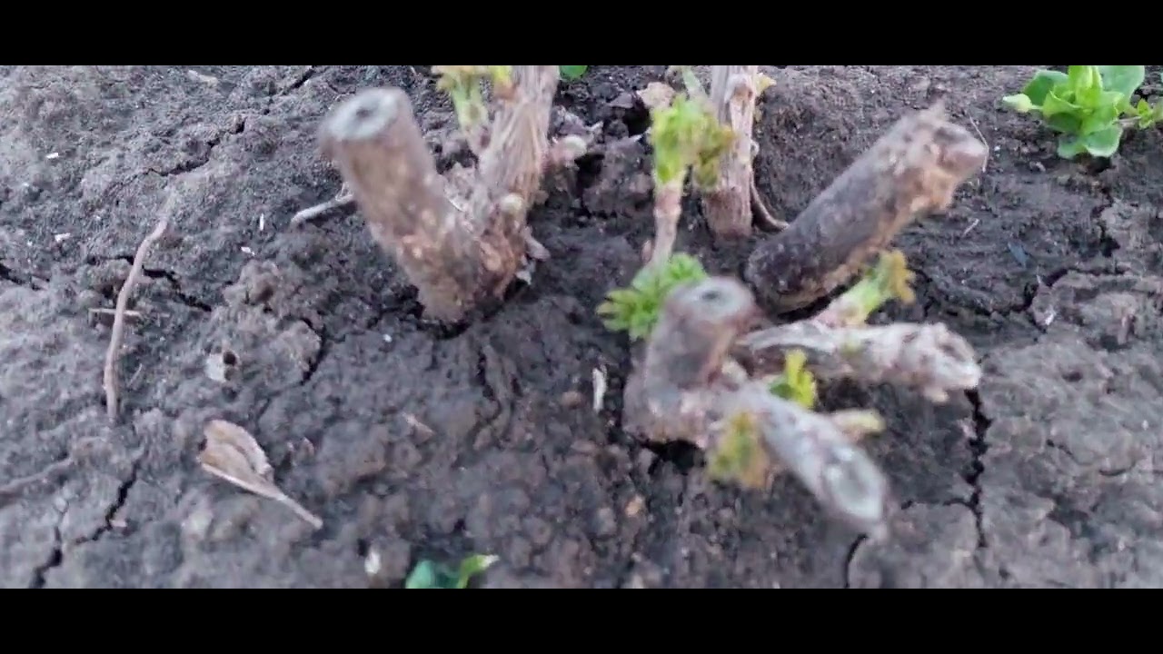 694.Весна ещё один рывок, самый трудный .