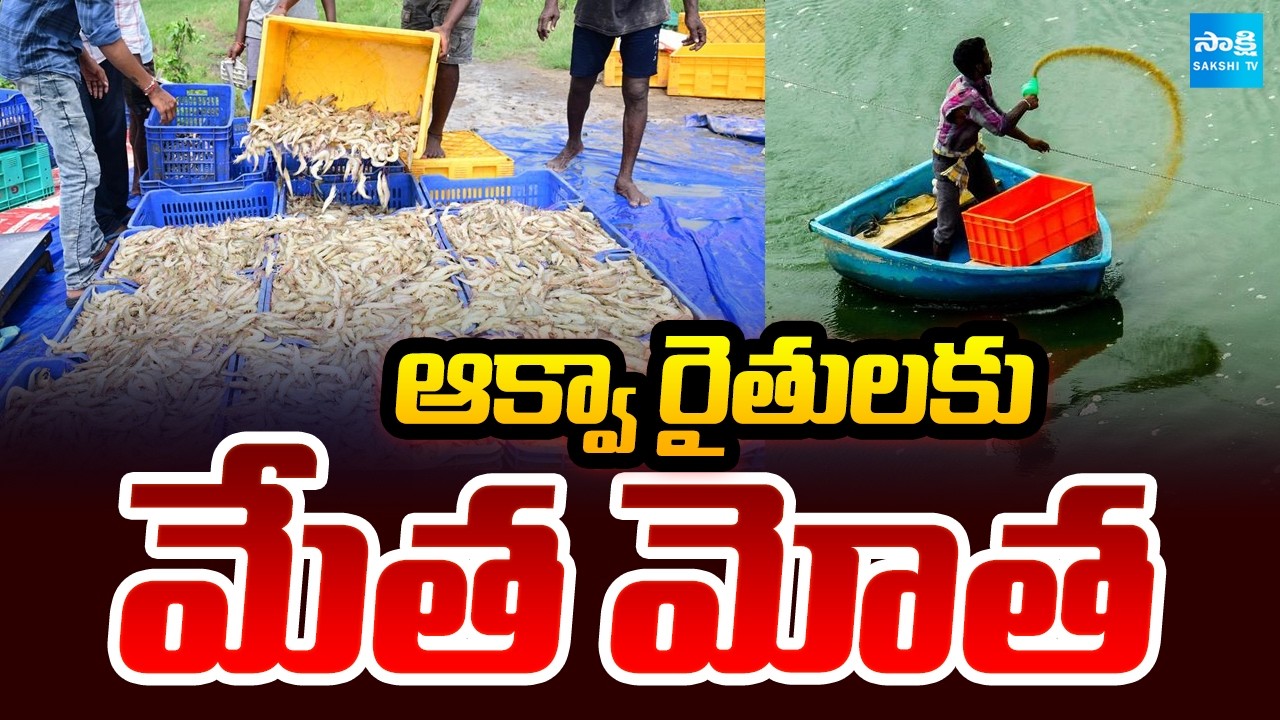 ఆక్వా రైతులకు  మేత మోత: Big Shock To Aqua Farmers, Aqua Feed Price Hike | @SakshiTV