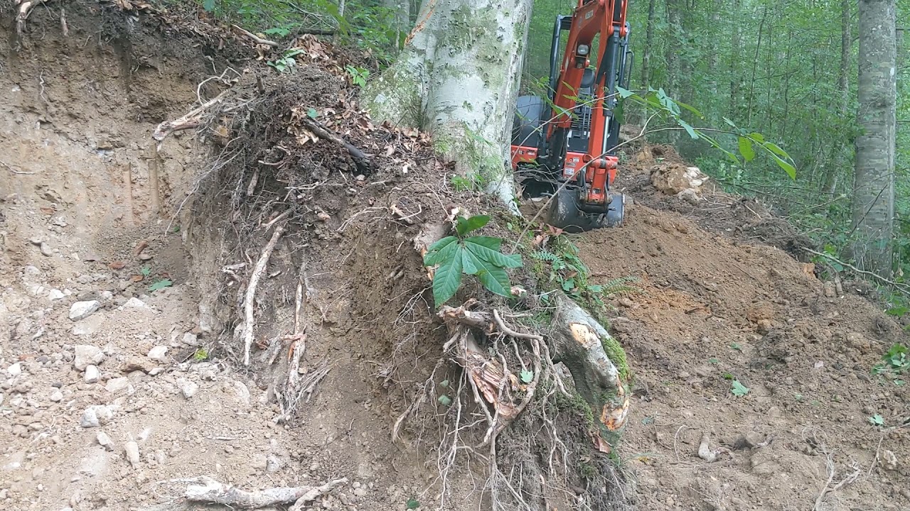 Building a driveway on the Tennessee homestead with the Kubota kx033-4.