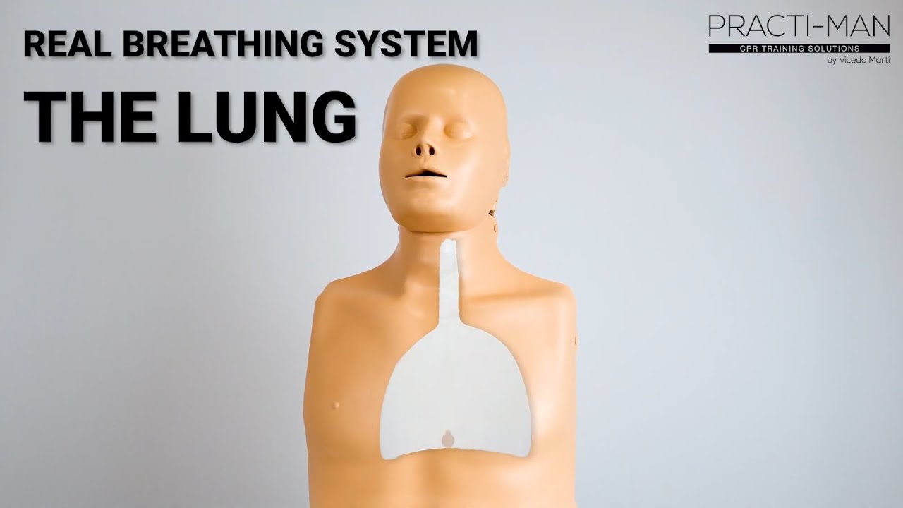 KEY FEATURES -  Breathing system: The lung (EN)
