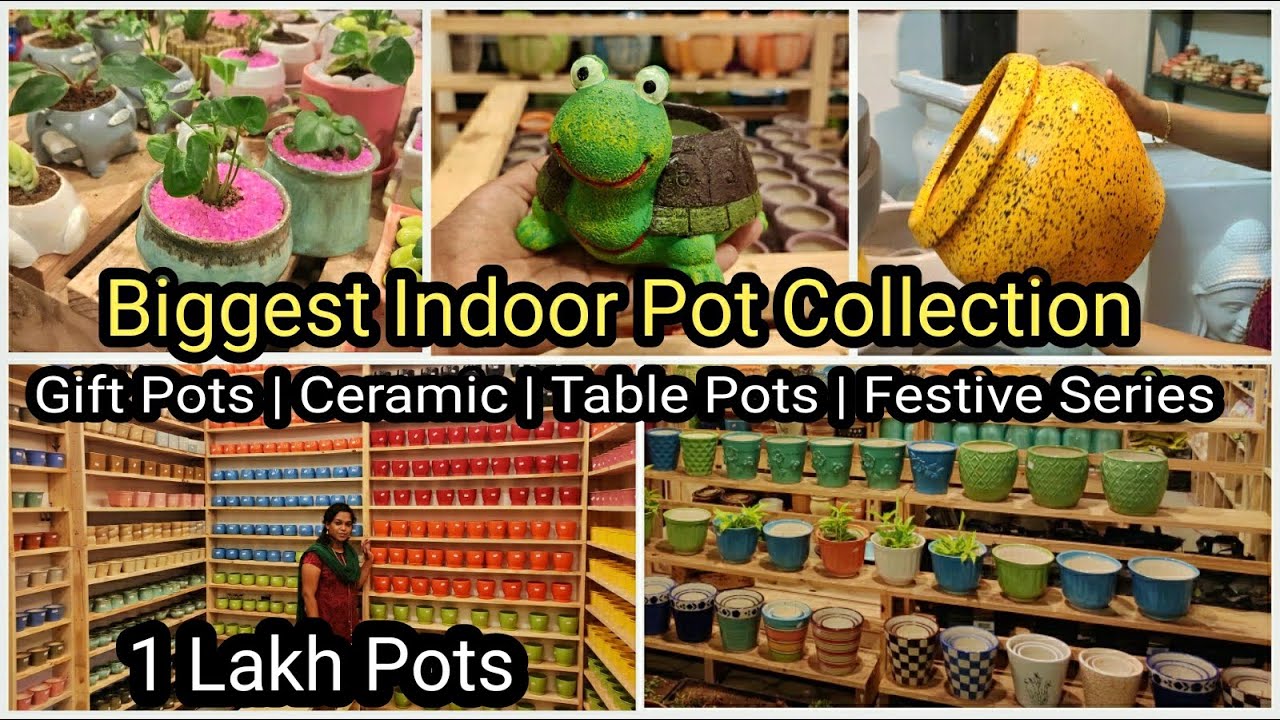 Colorful Plant Pots at Wholesale Price | Ceramic Pots | Fiber Pots | Gift Pots with Plants| vid # 87