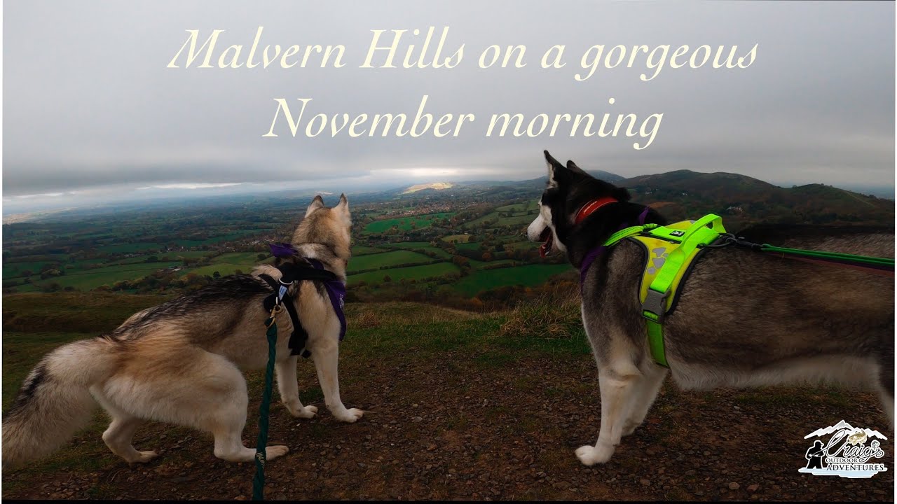 Hiking to the Hills || Adventure’s with Huskies