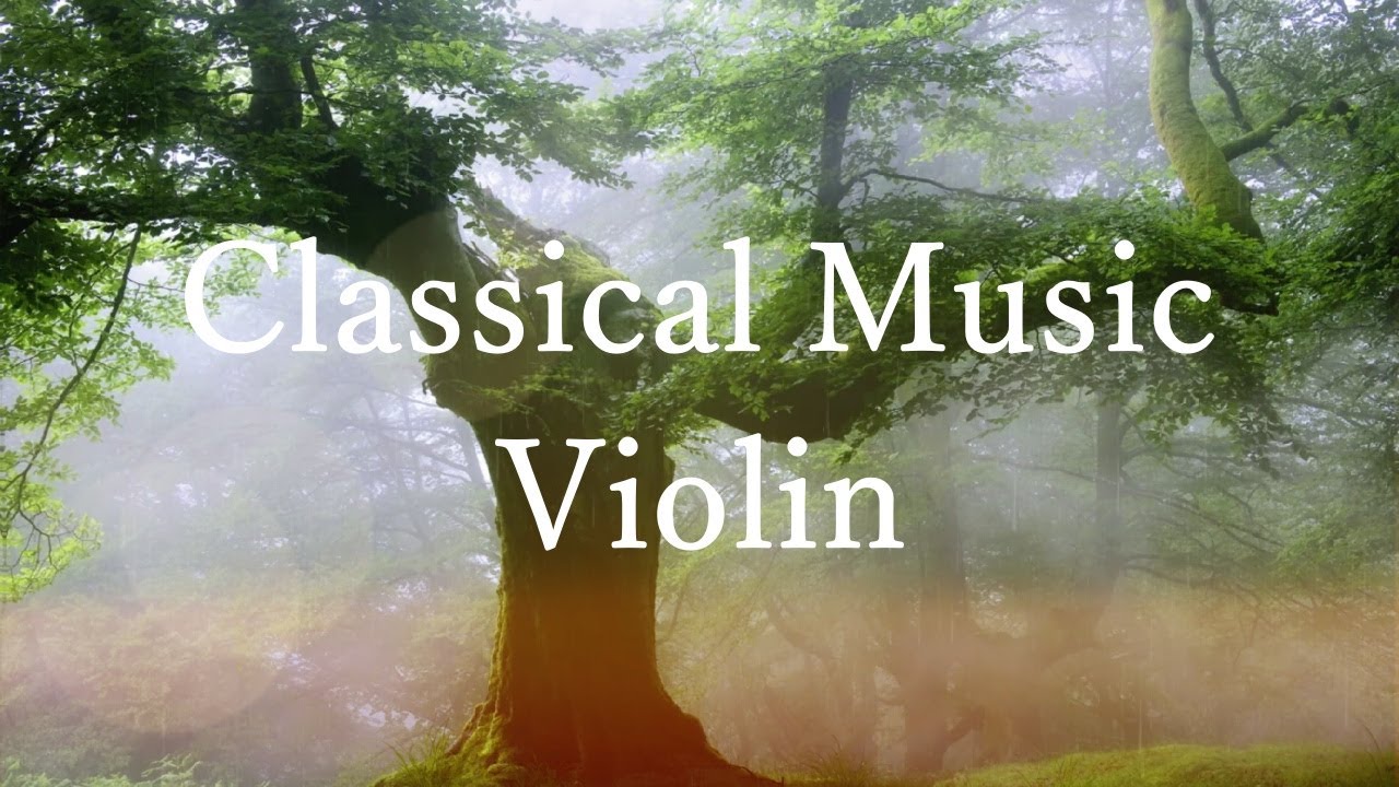 ドラマチック🎻クラシック・バイオリン ✨｜心を落ち着かせる癒やしの音色