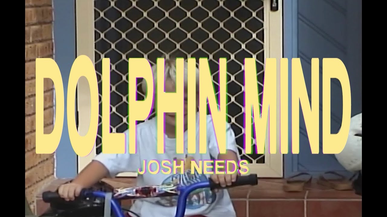Josh Needs - Dolphin Mind