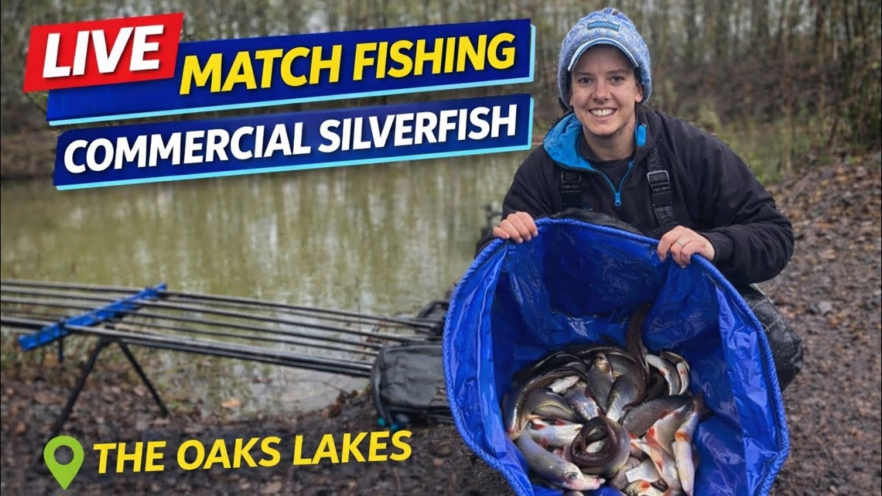 Live Match Fishing - The Oaks at Sessay: Alders lake