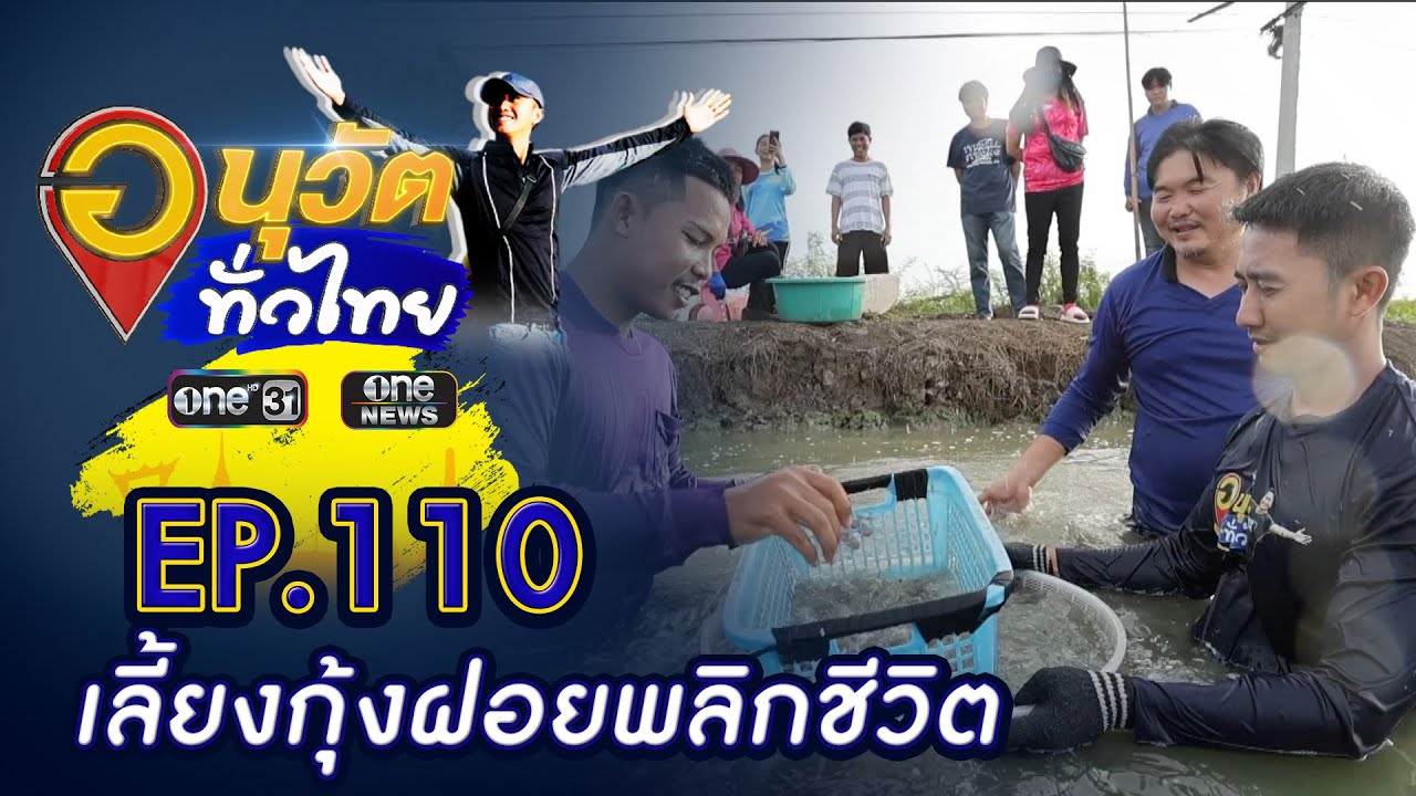 เลี้ยงกุ้งฝอยพลิกชีวิต จ.นครปฐม | อนุวัตทั่วไทย | EP 110 | ข่าวช่องวัน | one31
