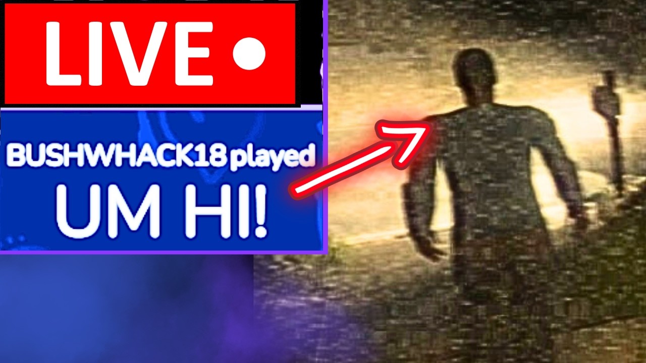 Meme Chaos In A New Scary Game! LIVE!