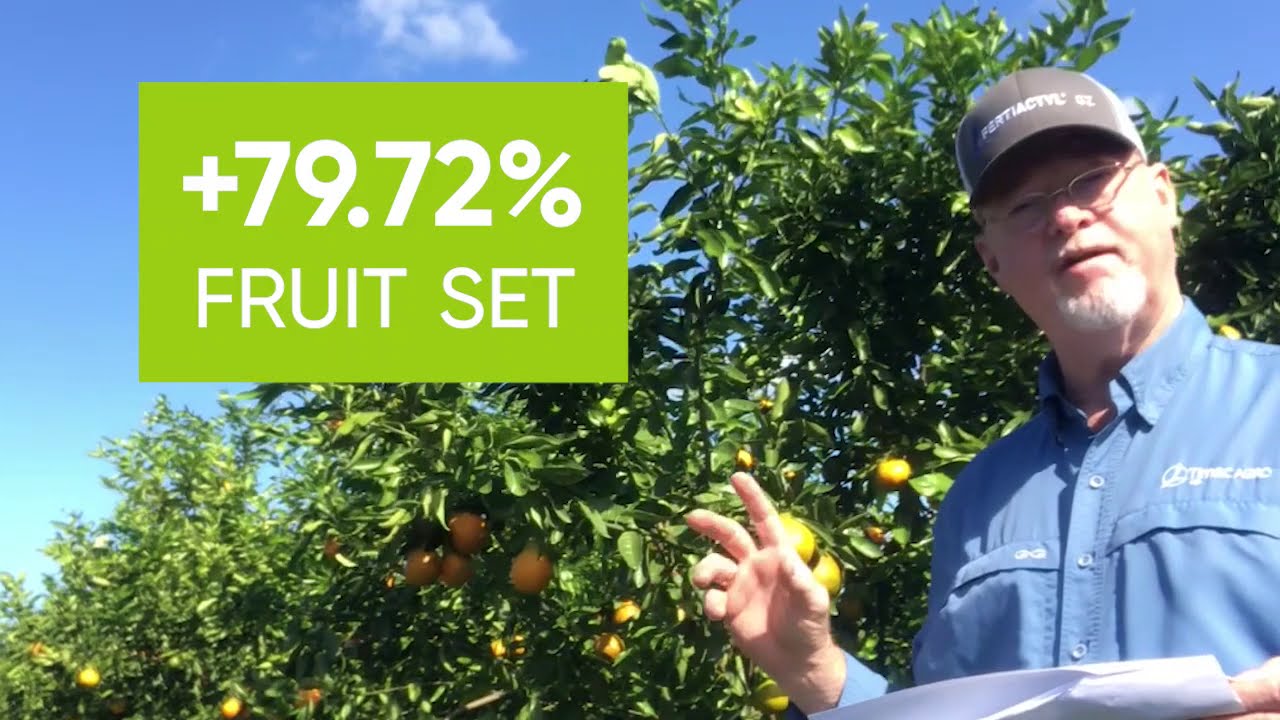 Facts From the Field - Maxifruit Citrus