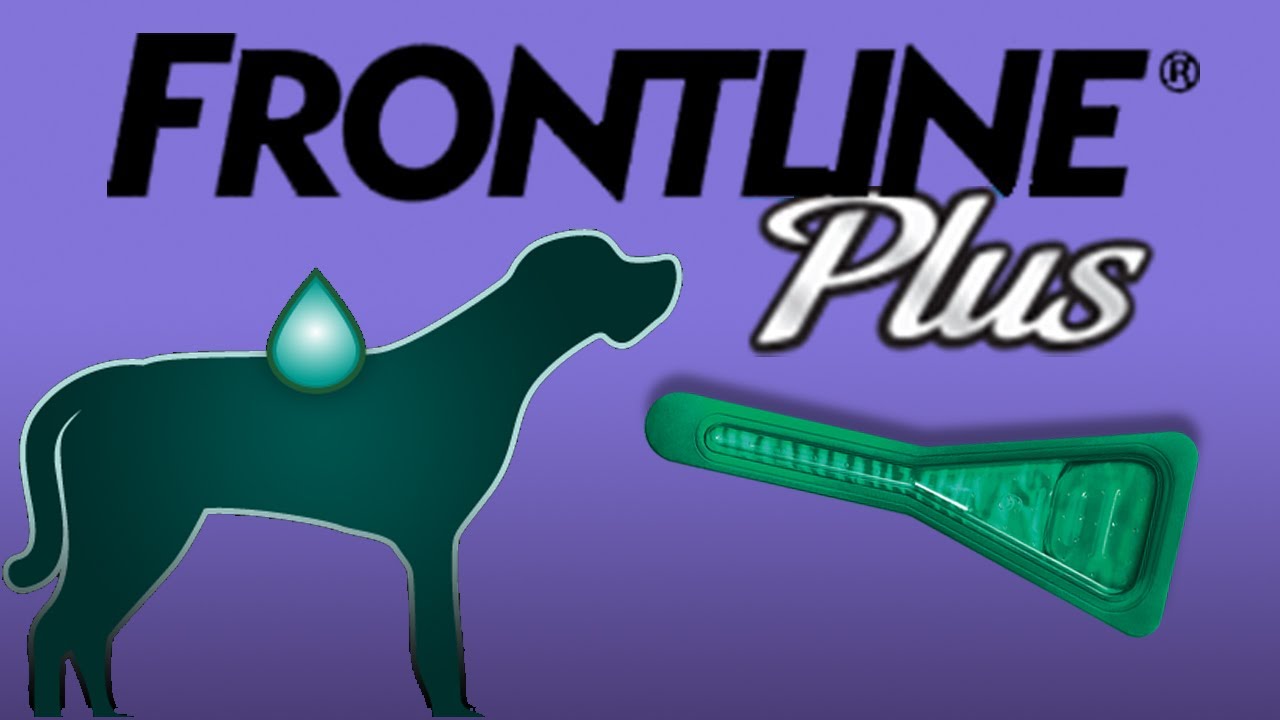 Frontline Plus for Dogs and Cats Kills Flea and Tick by Merial