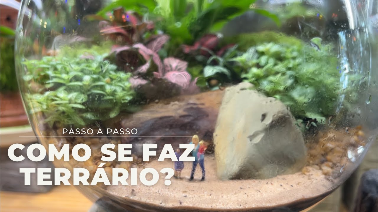 COMO FAZER UM TERRARIO. PASSO A PASSO E TUDO QUE VOCÊ PRECISA SABER PRA MONTAR SEU PRÓPRIO TERRÁRIO