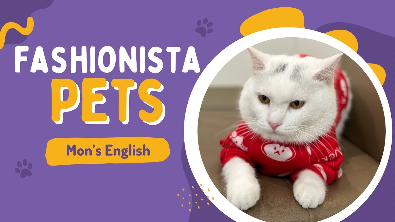 Clothes Vocabulary for kids- Clothes with cute animals | Mon's English | Animal vocabulary