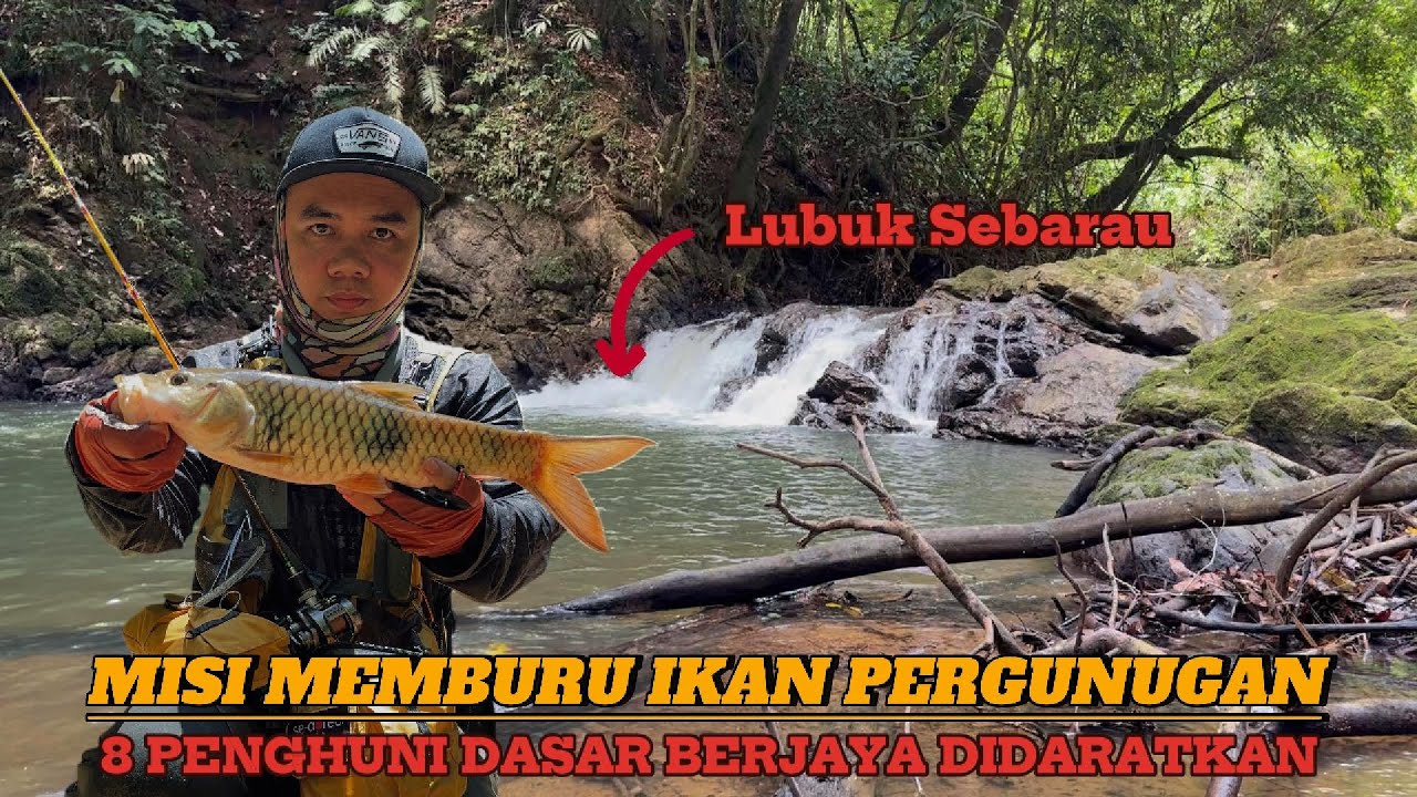 Casting Sebarau / Bujuk / Toman di Sungai Pergunungan