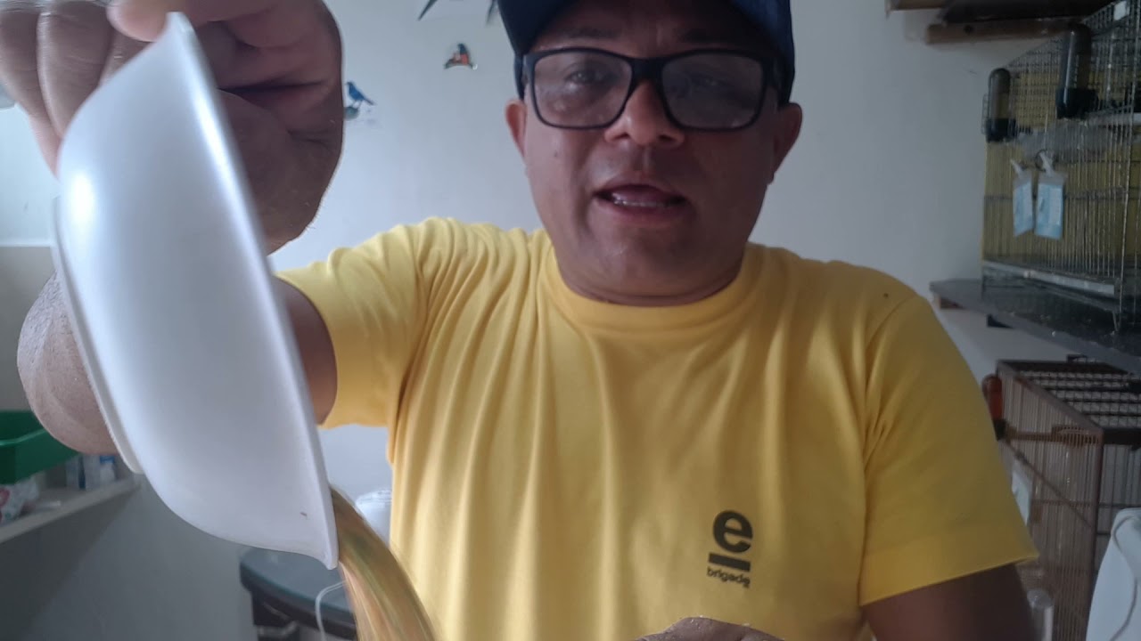 Como fazer papinha filhotes com alpiste