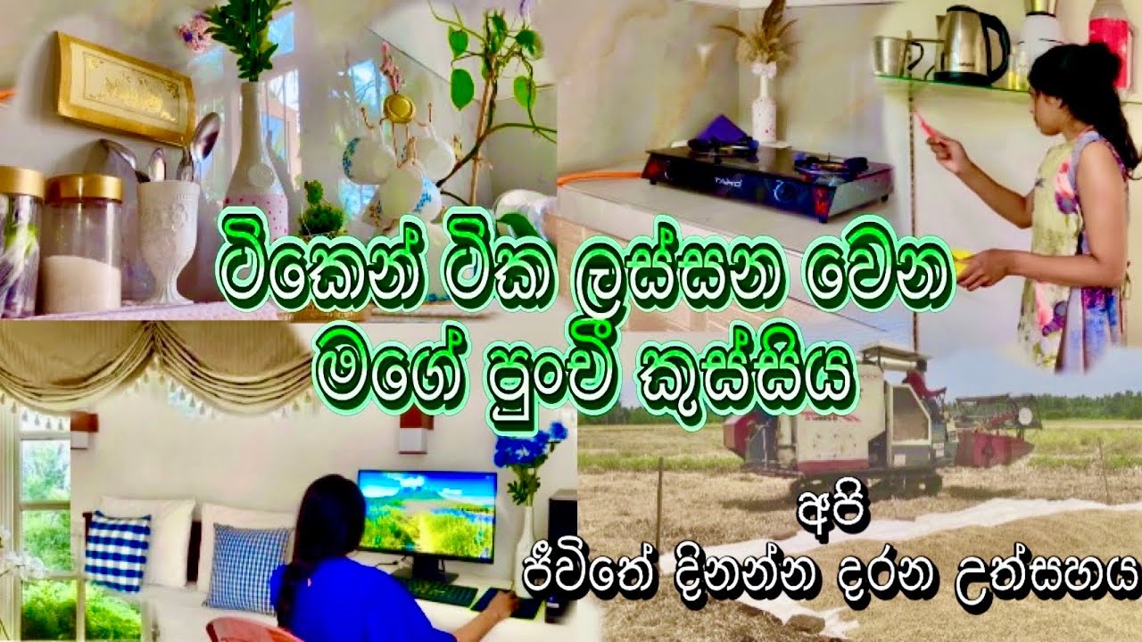 🌾මාස තුනකට සැරයක් ලක්ෂ ගනන් මුදල් හොයන අපේ වී අස්වැන්න |ජීවිතේ කාර්ය බහුල දවස්🍃#viralvideo