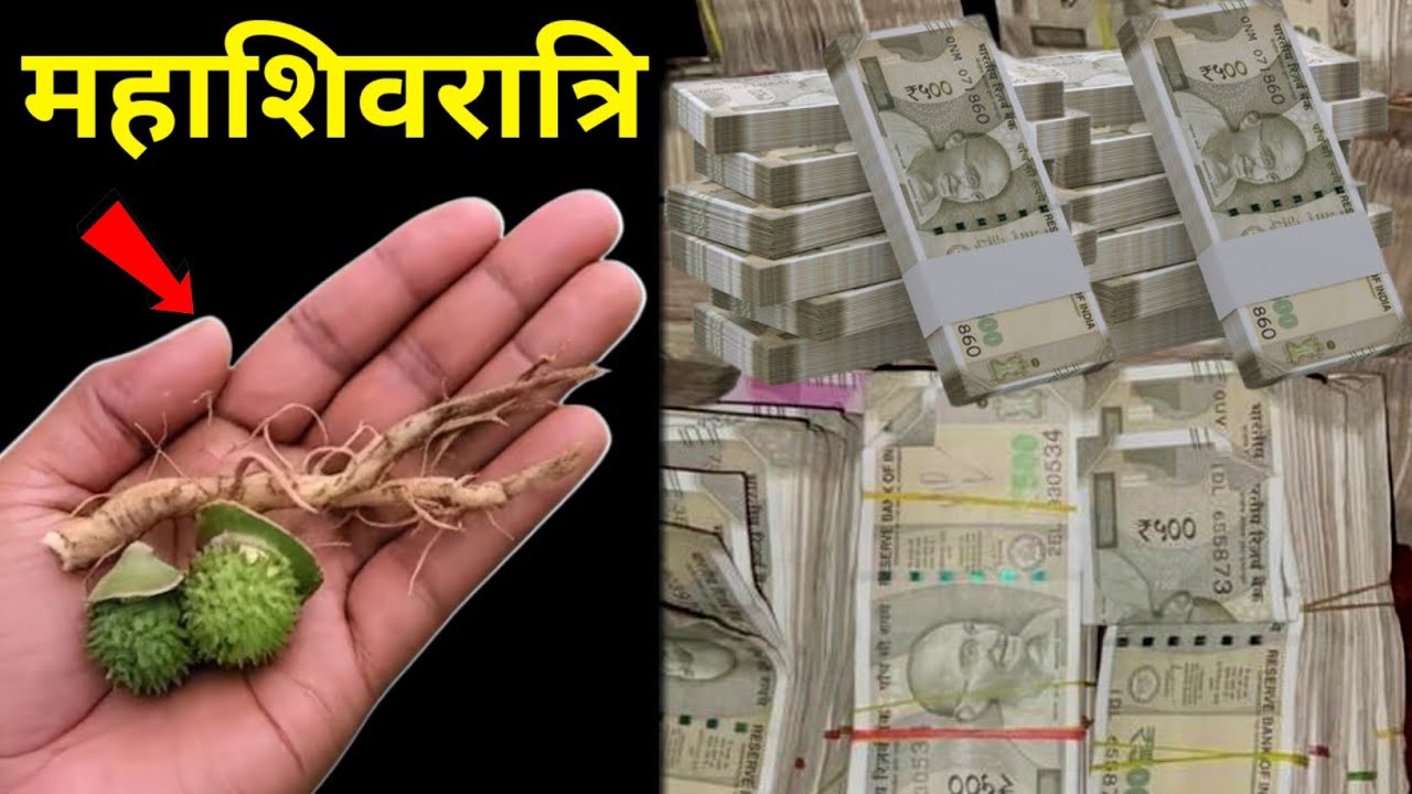 महाशिवरात्रि के दिन घर में लाकर टांग देना ये जड़ गरीबी होगी जड़ से खत्म हो जाएगी।