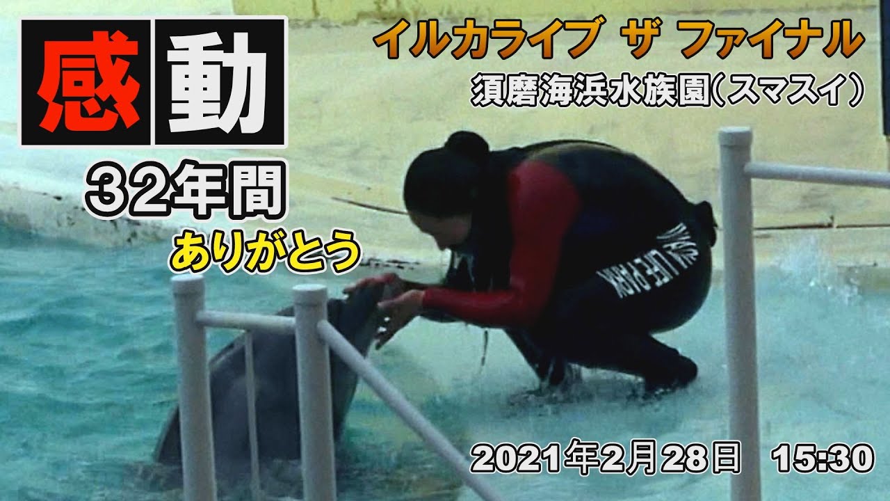 【感動をありがとう！】32年間の最後を飾る「イルカライブ ザ ファイナル」　イルカトレーナーの熱い思いとイルカたちの臨場感あふれるファイナルステージ！感動のエンディング！！　須磨海浜水族園