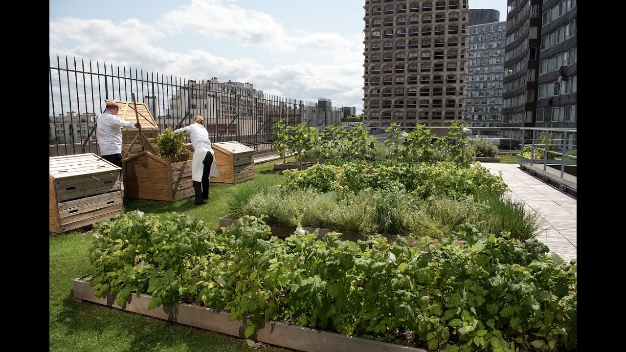 Agriculture urbaine