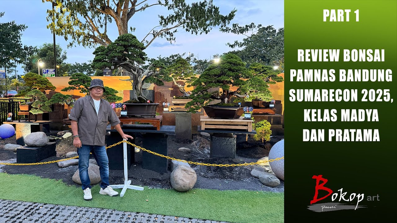 Part 1 REVIEW BONSAI PAMNAS BANDUNG SUMARECON 2025, Kelas Madya dan Pratama