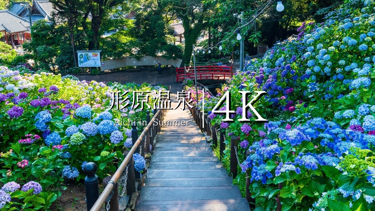 【形原温泉】あじさいの里を訪ねて - JAPAN in 4K