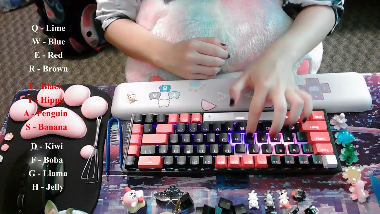 12 Different Switches Sound Test