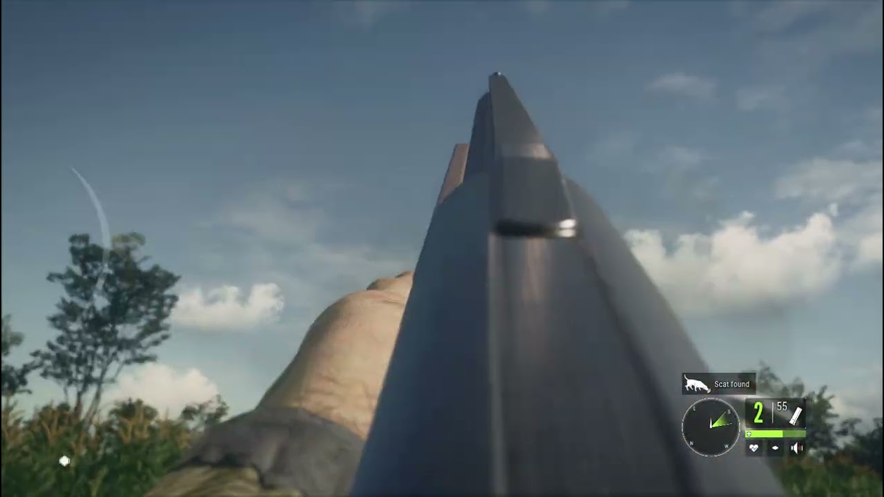bıldırcın avı ! theHunter  Call of the Wild