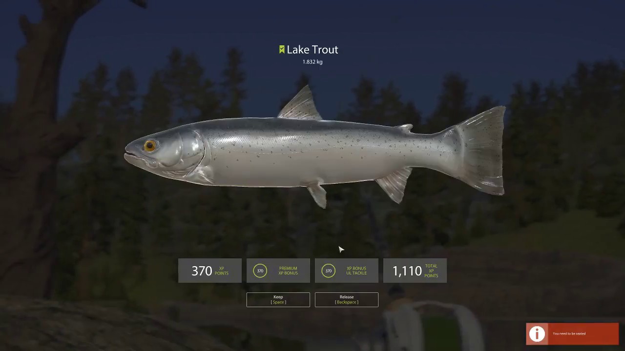 Russian Fishing 4 How to use the Wacky Rig