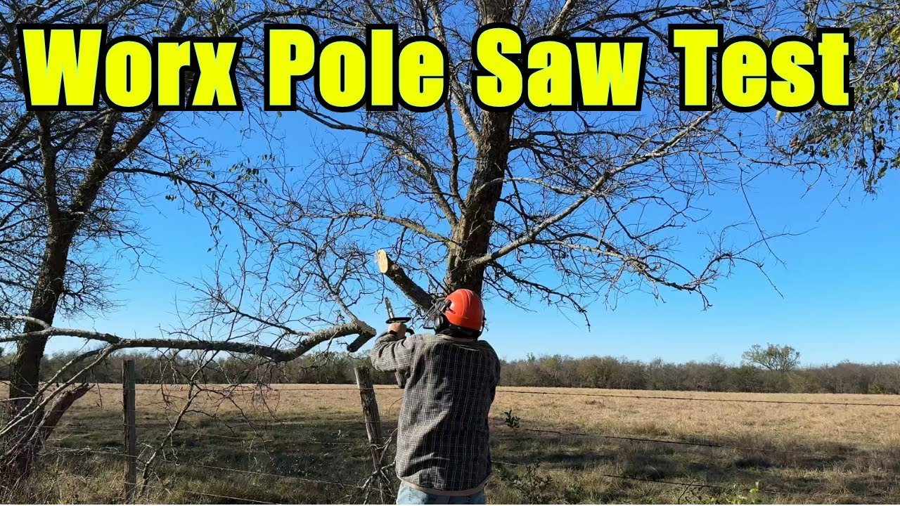 Честный обзор пилы WORX Pole Saw: протестировано ручное и штанговое управление!