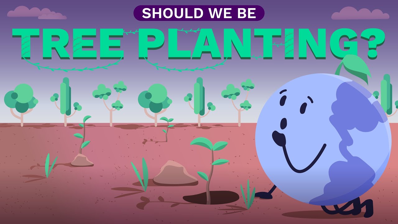 Посадка деревьев: могут ли деревья предотвратить изменение климата? | ClimateScience #5
