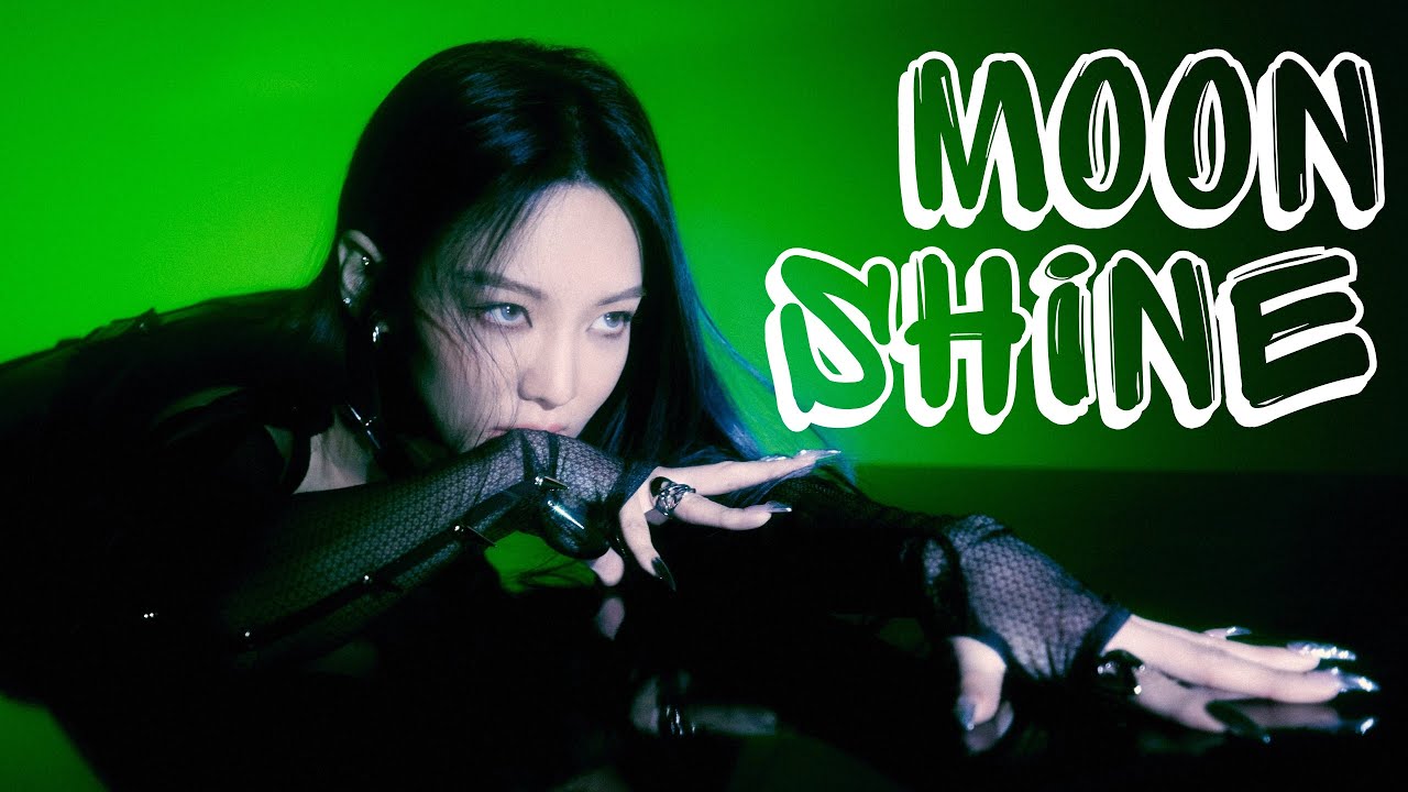 every moonshine intro in kpop