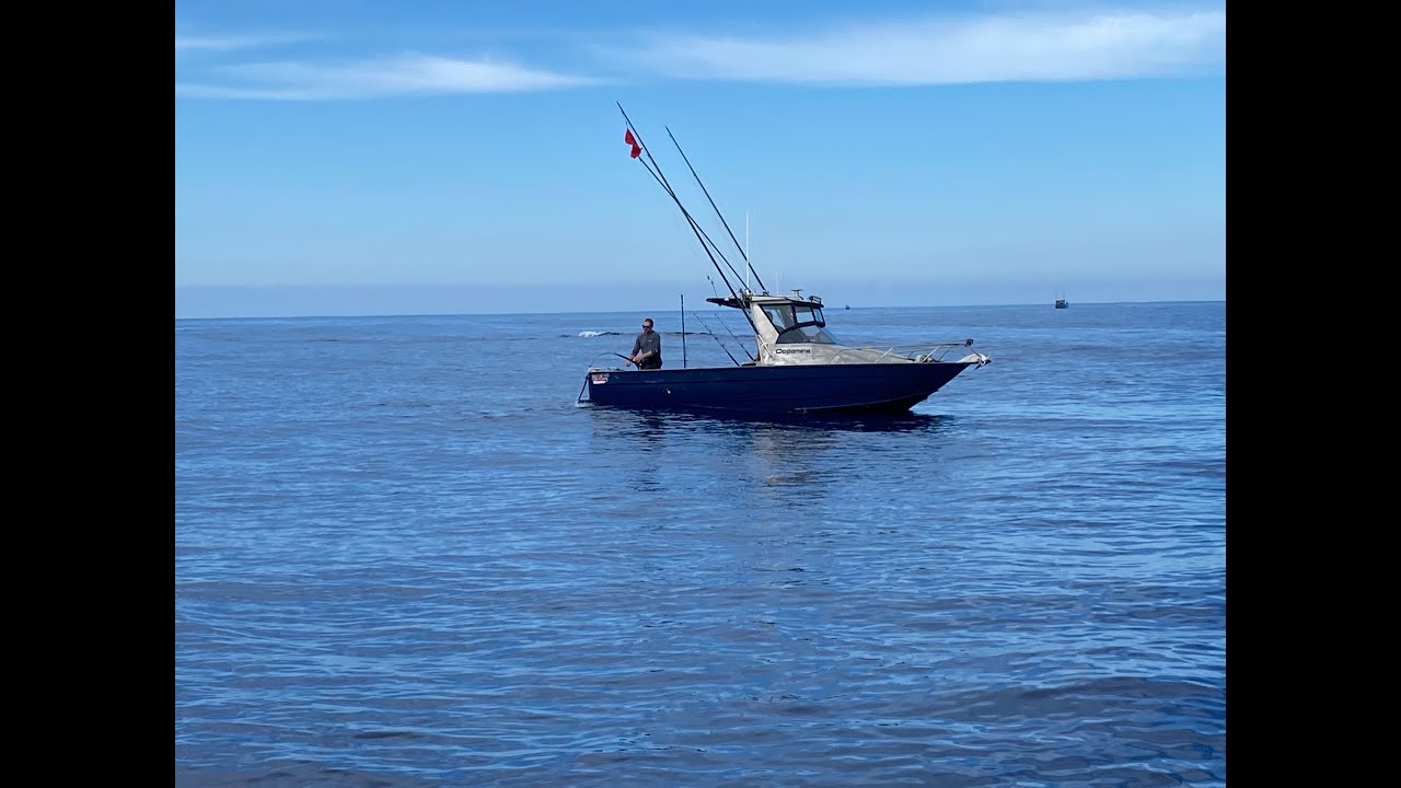 Swordfish 5.5 hours NZ.(246kg)