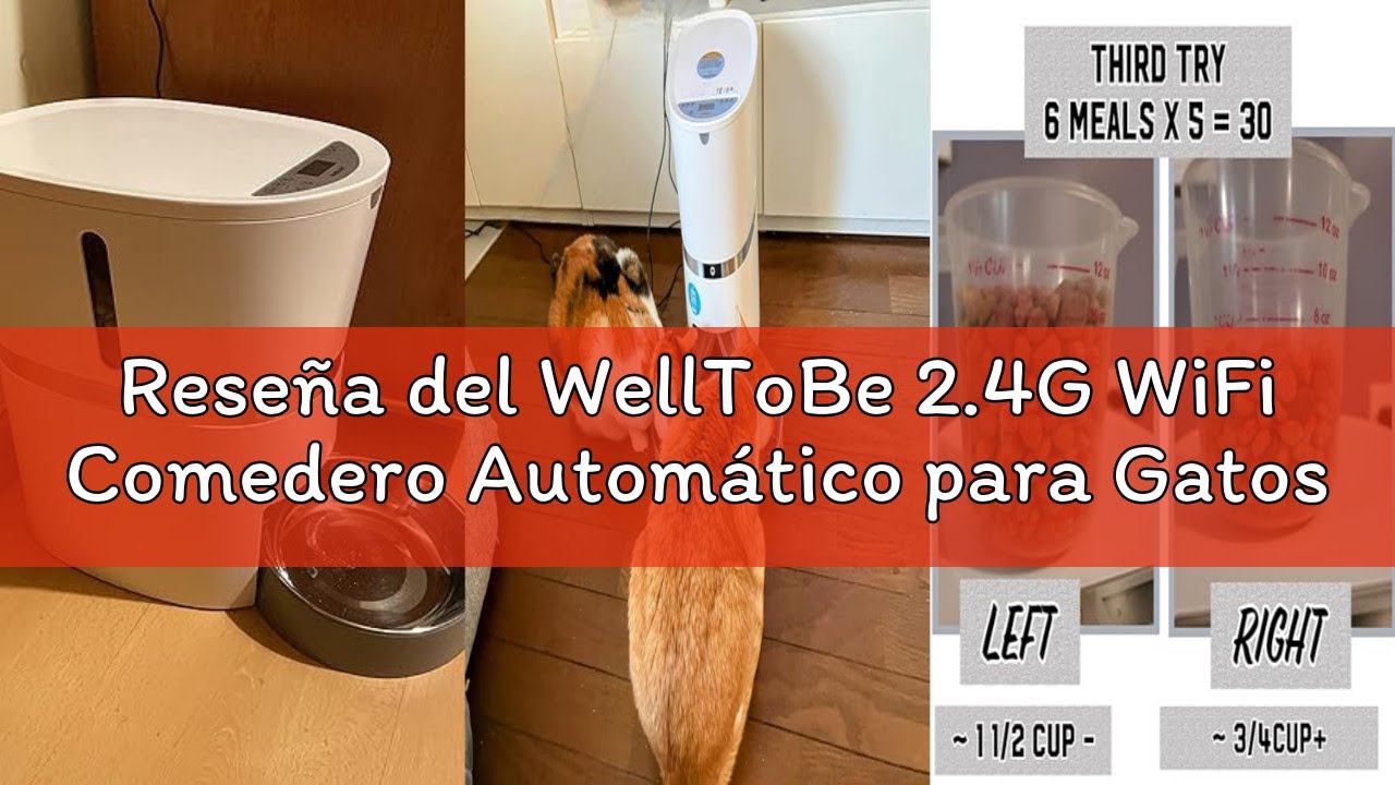 Reseña del WellToBe 2.4G WiFi Comedero Automático para Gatos y Perros & Múltiples Mascotas,Dispensad
