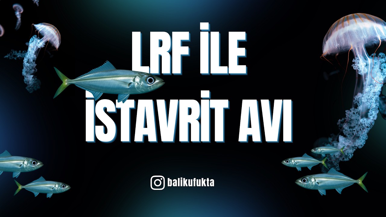 Eminönü Lrf İle İstavrit Avı