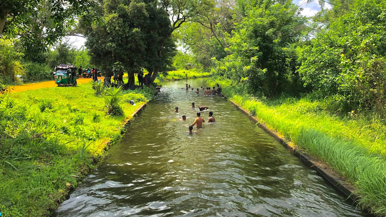Pavakulam vlog (@friendskuttystory1132)