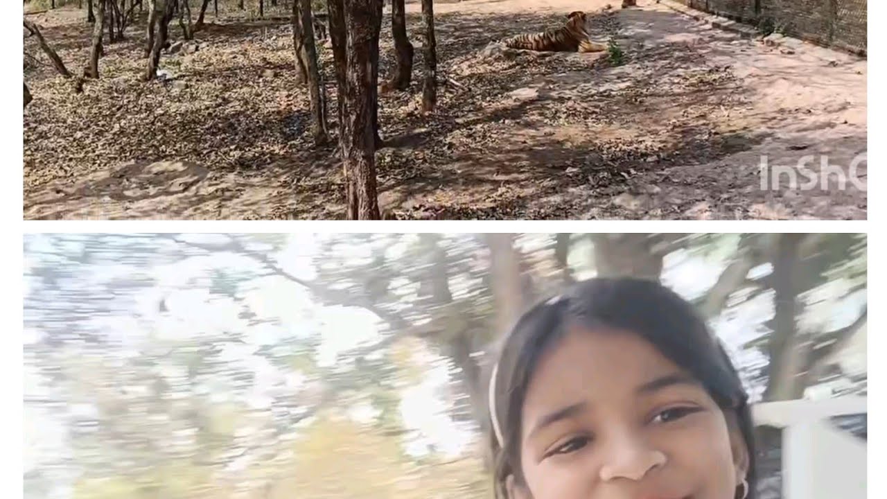 Hum Aa Gaye Animals Dekhne Ko 🦚🐅