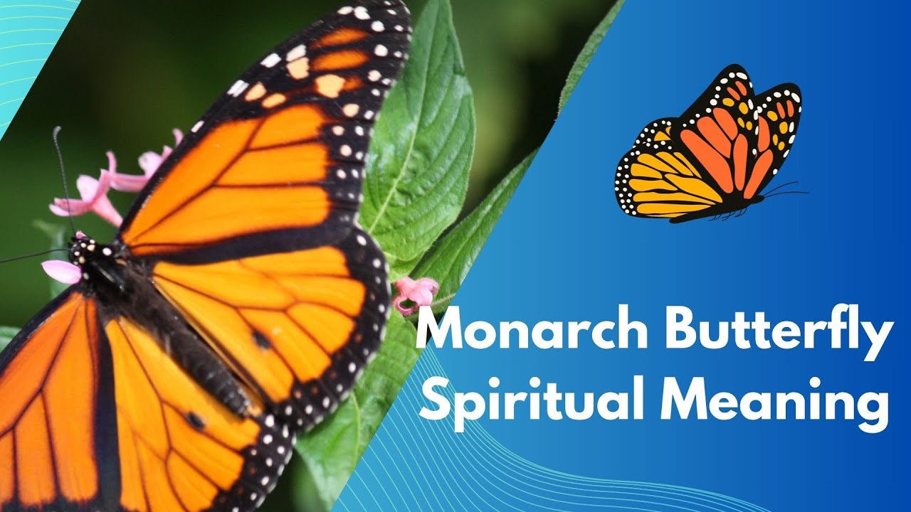 Monarch Butterfly Spiritual Meaning: Transformation, Rebirth, and Messages