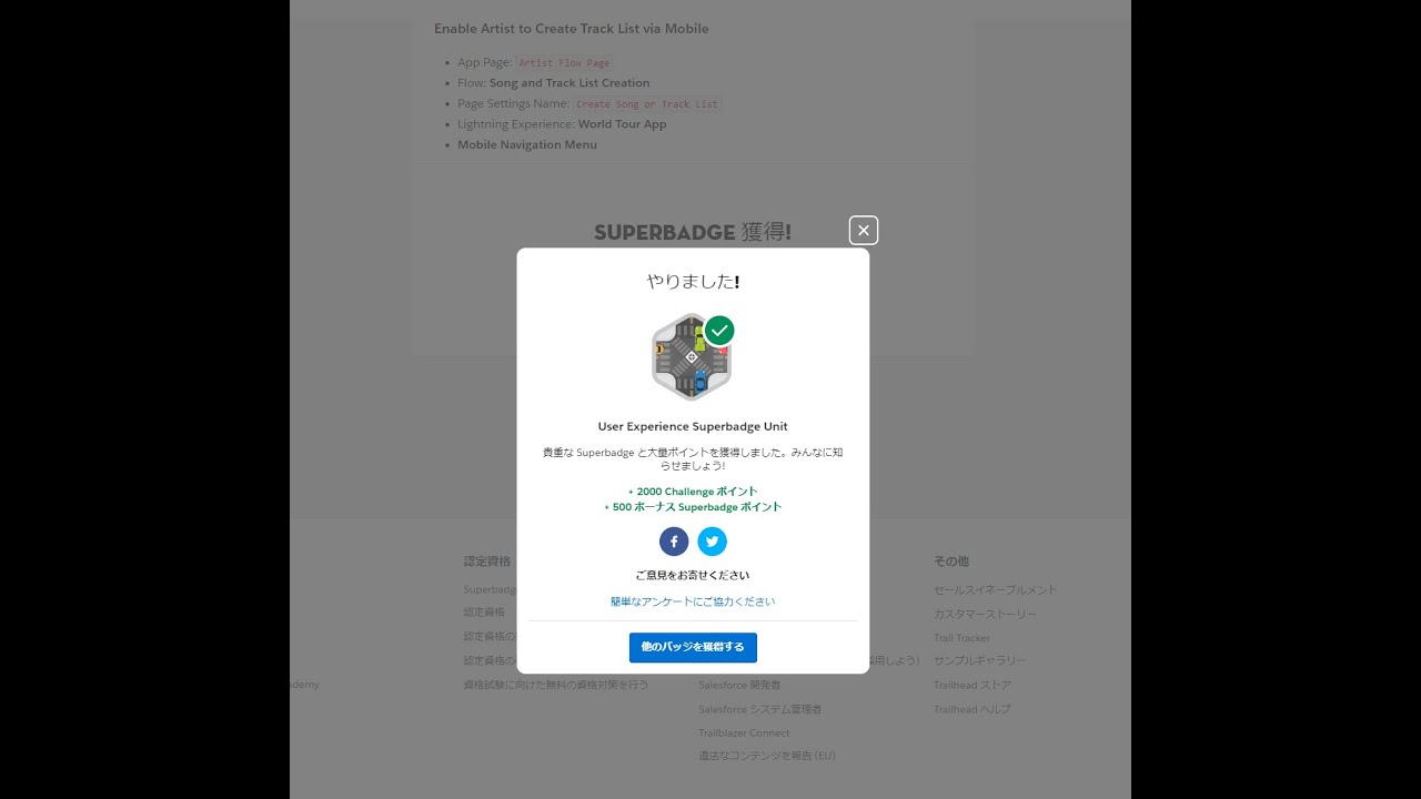 User Experience Superbadge Unit|| User Experience Improvements || Challenge 2